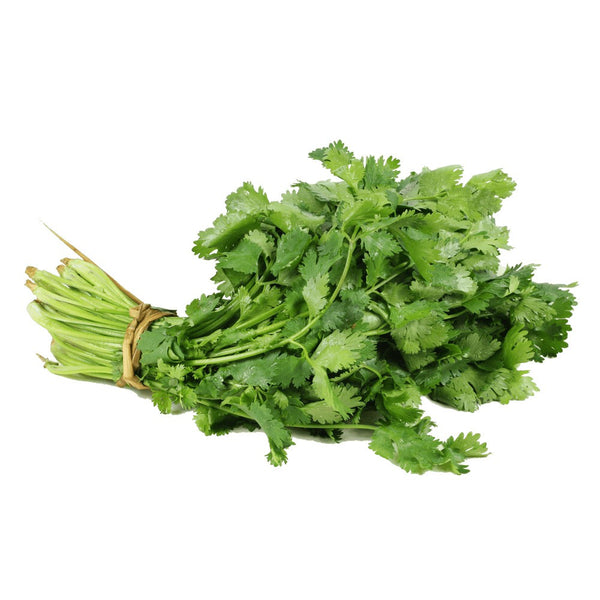 Manojo de Cilantro 1.5kg aprox