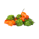 Chile Habanero Naranja (CAT1) kg