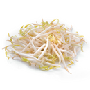 Germinado de soya kg