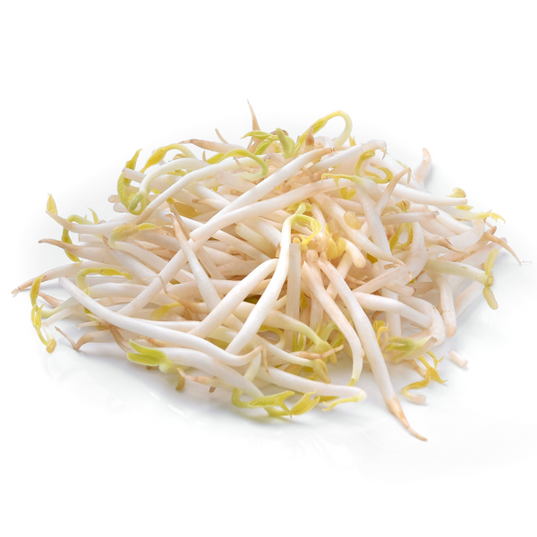 Germinado de soya kg