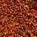 Chile Piquin seco a granel 1kg