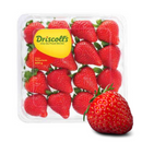 Fresas de primera calidad en domo de 454gr