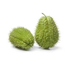 Chayote Espinoso por Kilo