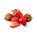 Fresas de primera calidad en domo de 454gr