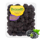 Zarzamora Caja 170gr.