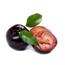 Ciruela española (CAT1)