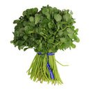 Manojo de Verdolagas