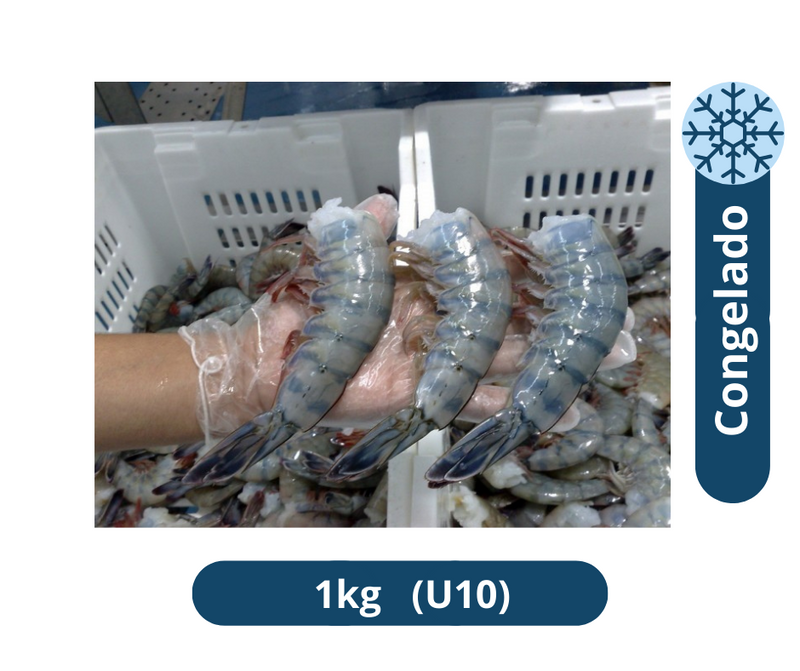 Camaron azul U10 marqueta 1kg