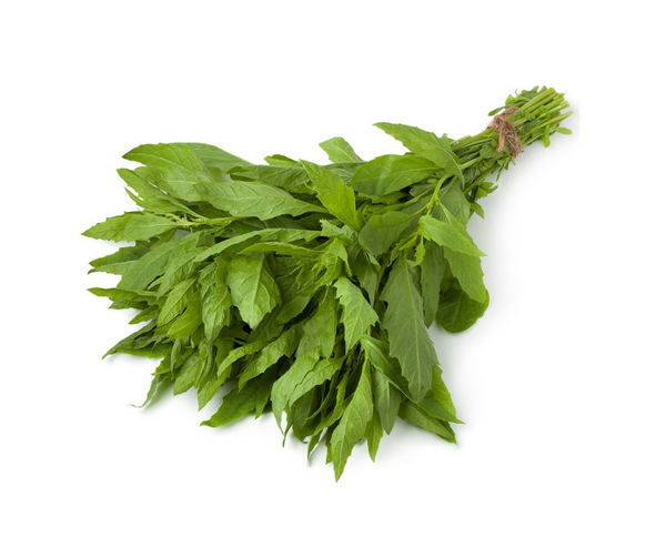 Epazote manojo chico (200gr)