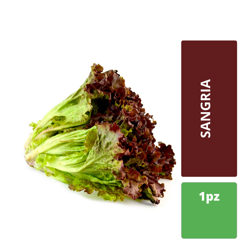 Lechuga Sangria por pieza