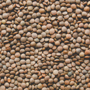 Lenteja chica a Granel kg.