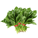 Espinacas Frescas por kilo