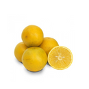 Naranja Valenciana kg