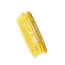 Elote Amarillo Congelado