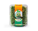 Germinado de alfalfa domo de 200gr