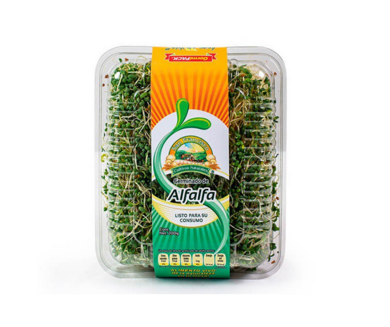 Germinado de alfalfa domo de 200gr