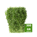 Alfalfa manojo 300gr