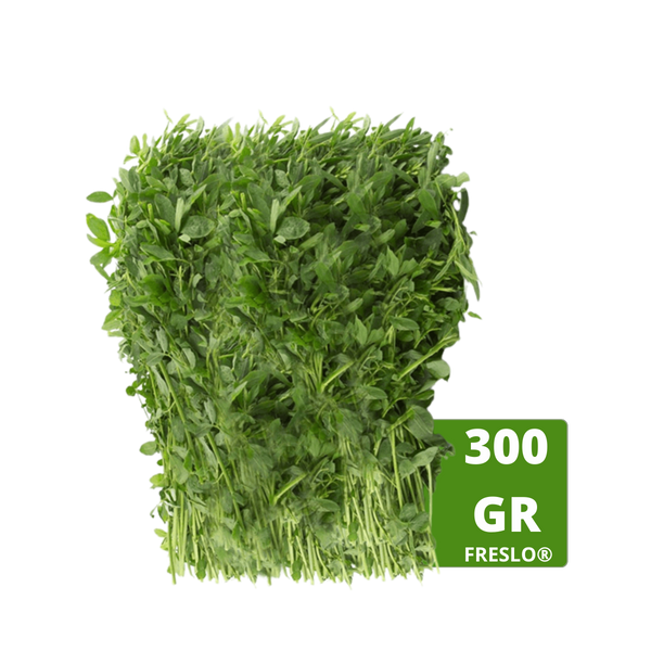 Alfalfa manojo 300gr