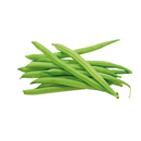 Ejote kg