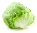 Lechuga iceberg o bola