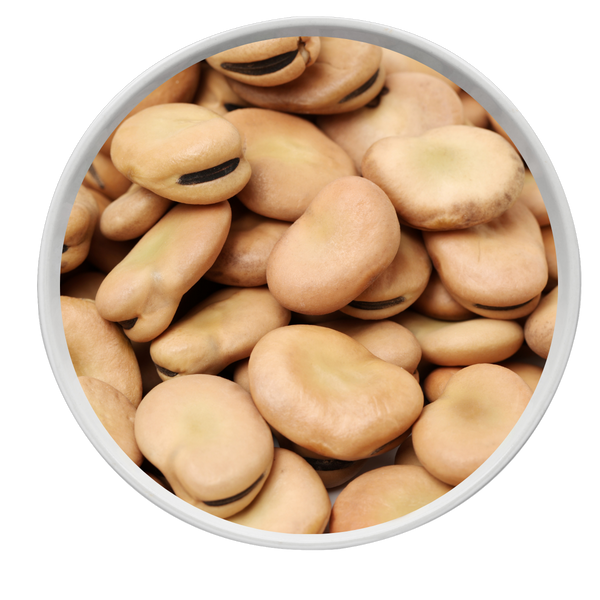 Haba natural a Granel 100gr.