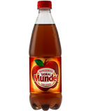 Refresco sidral mundet 600ml NR