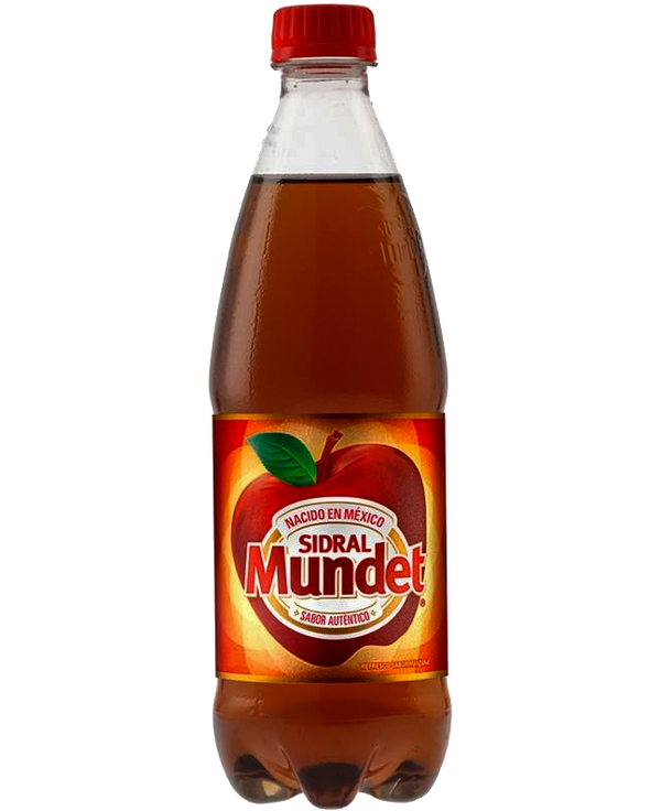 Refresco sidral mundet 600ml NR