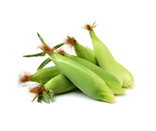 Elote blanco por pieza