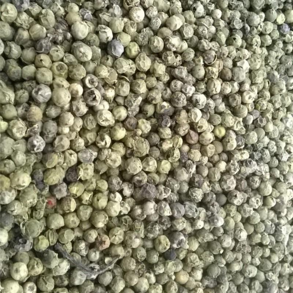 Pimienta Entera Verde 1kg