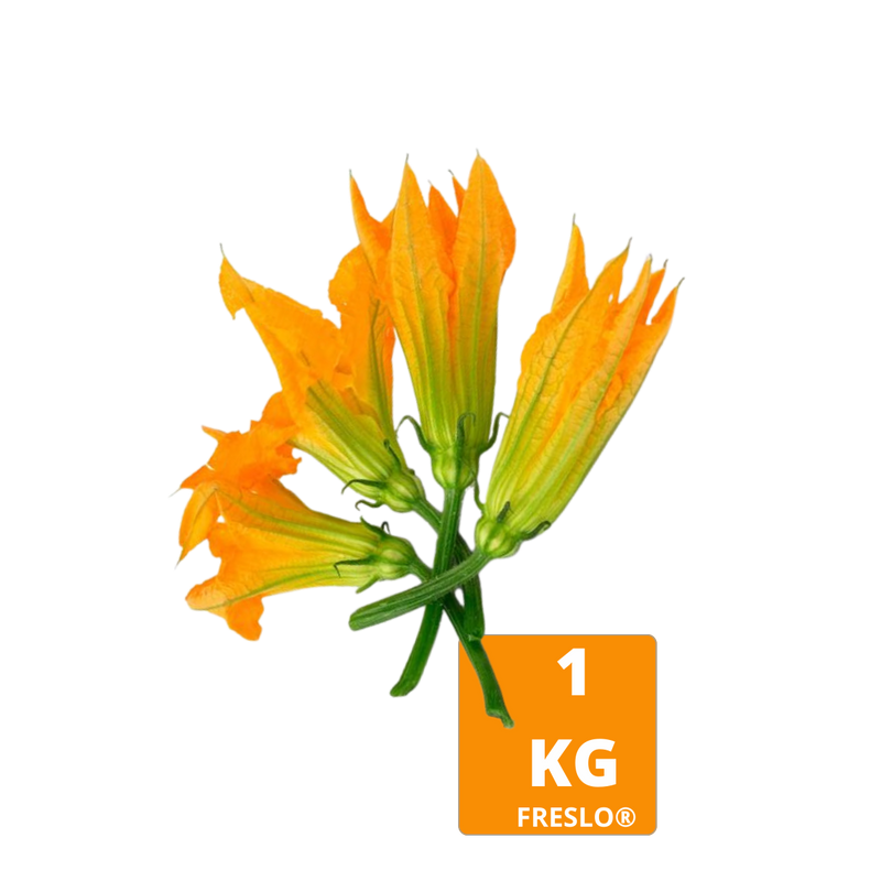 Flor de calabaza