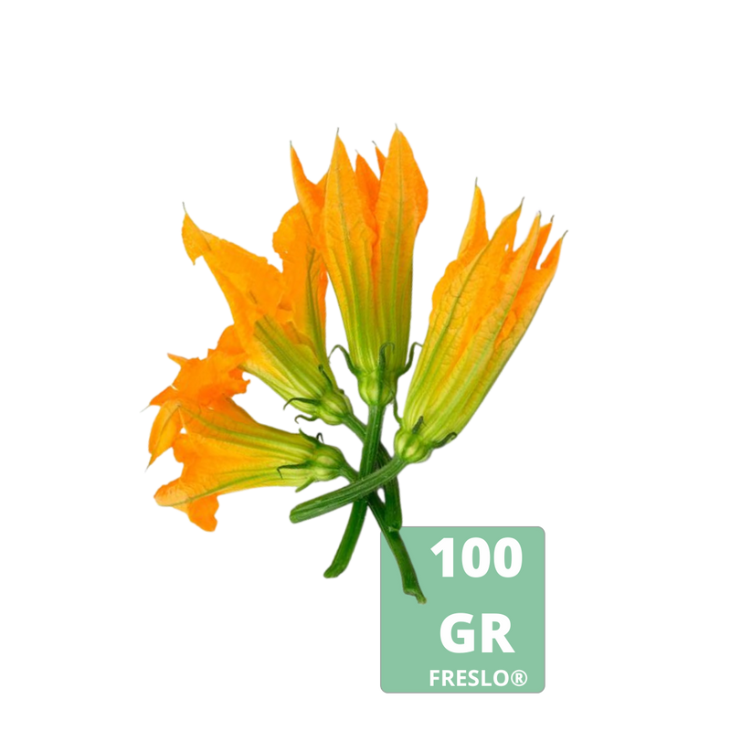 Flor de calabaza